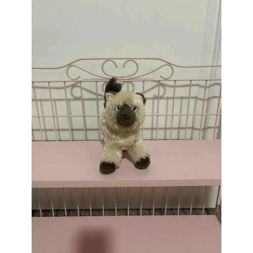Douglas Hilda himalayan cat